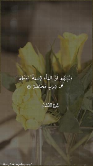 Al-Qamar Ayah 28 - Arabic wallpaper