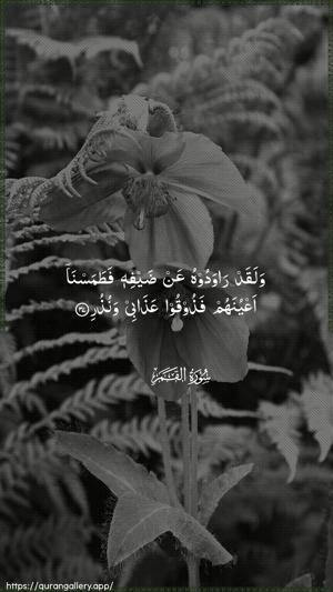 Al-Qamar Ayah 37 - Arabic wallpaper