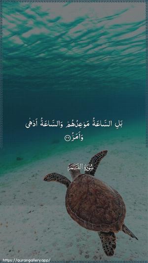 Al-Qamar Ayah 46 - Arabic wallpaper