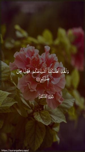Al-Qamar Ayah 51 - Arabic wallpaper