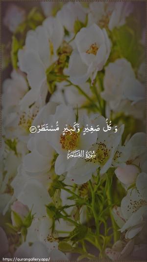 Al-Qamar Ayah 53 - Arabic wallpaper