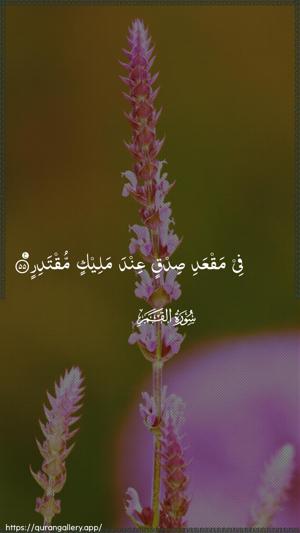 Al-Qamar Ayah 55 - Arabic wallpaper