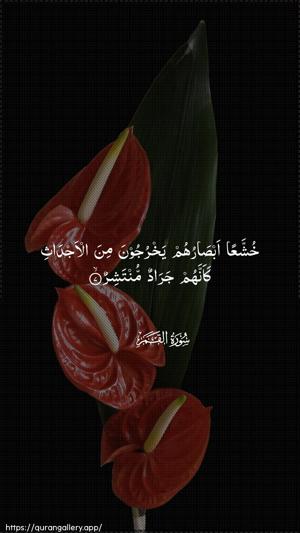 Al-Qamar Ayah 7 - Arabic wallpaper