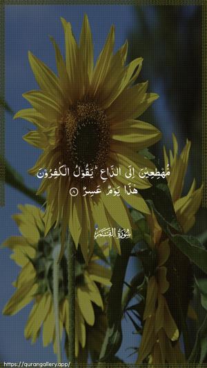 Al-Qamar Ayah 8 - Arabic wallpaper
