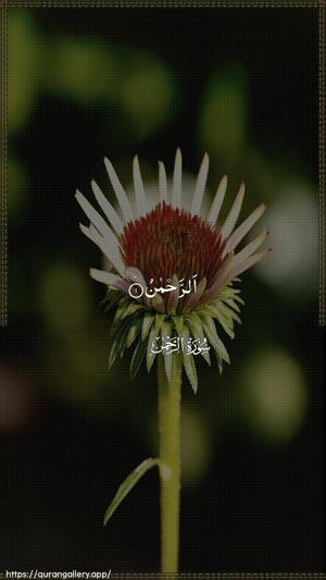 Ar-Rahmaan Ayah 1 - Arabic wallpaper