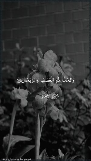 Ar-Rahmaan Ayah 12 - Arabic wallpaper