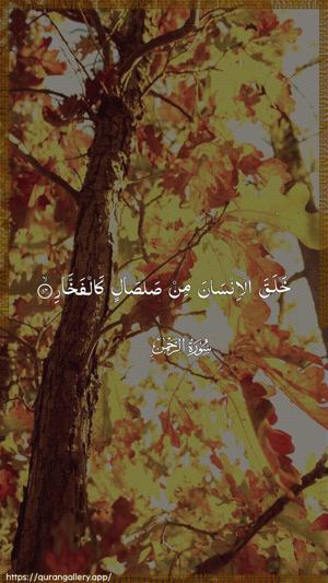 Ar-Rahmaan Ayah 14 - Arabic wallpaper