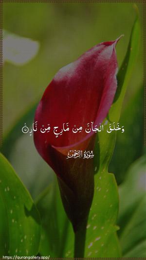 Ar-Rahmaan Ayah 15 - Arabic wallpaper