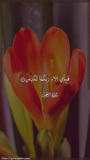 Ar-Rahmaan Ayah 18 - Arabic wallpaper