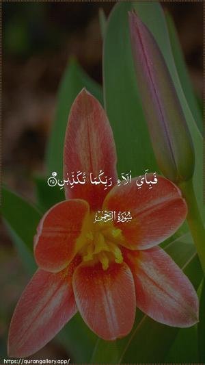 Ar-Rahmaan Ayah 25 - Arabic wallpaper