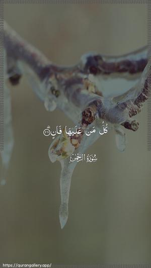 Ar-Rahmaan Ayah 26 - Arabic wallpaper