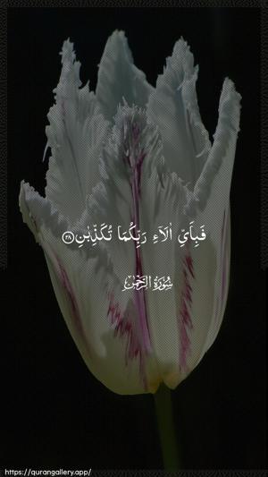 Ar-Rahmaan Ayah 28 - Arabic wallpaper
