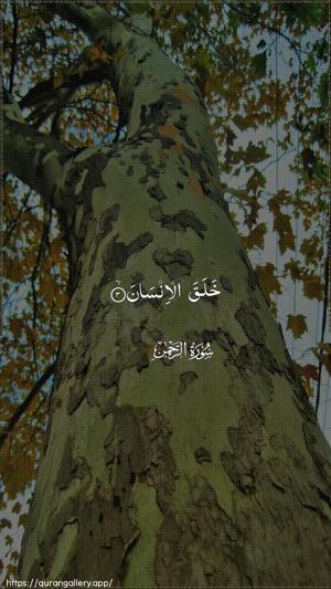 Ar-Rahmaan Ayah 3 - Arabic wallpaper