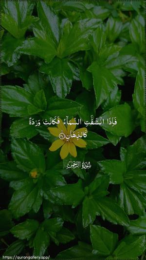 Ar-Rahmaan Ayah 37 - Arabic wallpaper