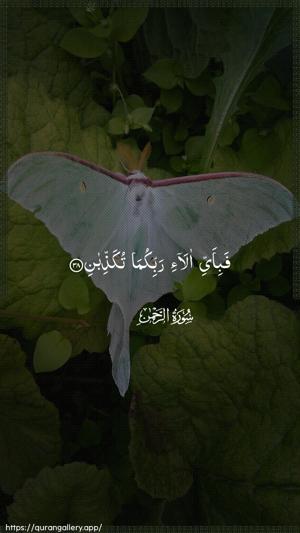 Ar-Rahmaan Ayah 38 - Arabic wallpaper