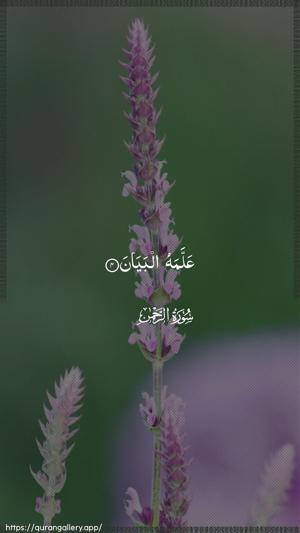 Ar-Rahmaan Ayah 4 - Arabic wallpaper