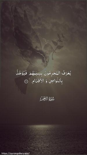 Ar-Rahmaan Ayah 41 - Arabic wallpaper