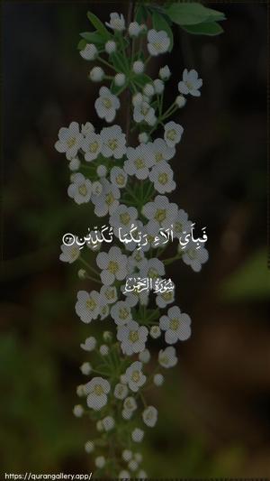 Ar-Rahmaan Ayah 42 - Arabic wallpaper