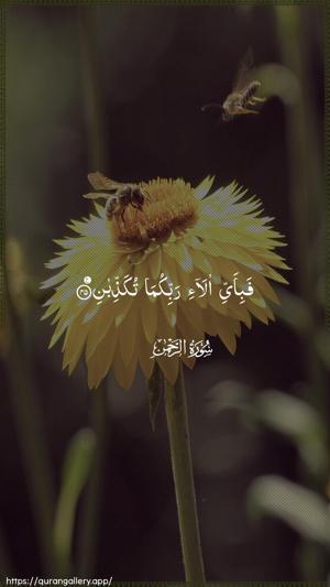 Ar-Rahmaan Ayah 45 - Arabic wallpaper