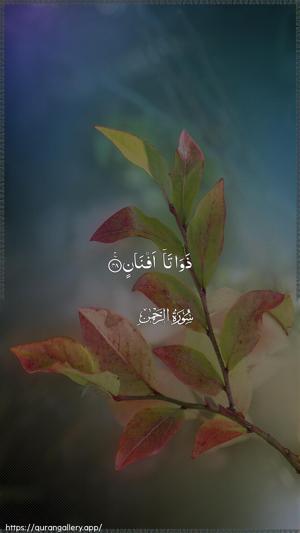Ar-Rahmaan Ayah 48 - Arabic wallpaper