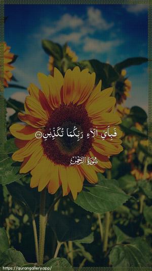 Ar-Rahmaan Ayah 49 - Arabic wallpaper