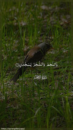 Ar-Rahmaan Ayah 6 - Arabic wallpaper