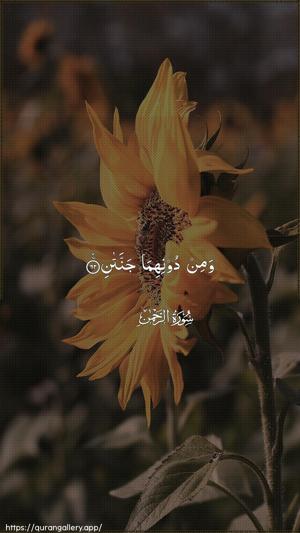 Ar-Rahmaan Ayah 62 - Arabic wallpaper