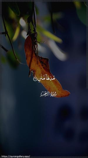 Ar-Rahmaan Ayah 64 - Arabic wallpaper