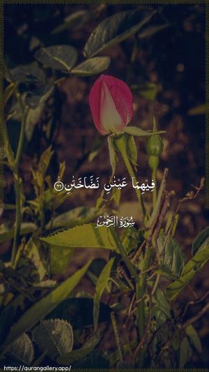 Ar-Rahmaan Ayah 66 - Arabic wallpaper