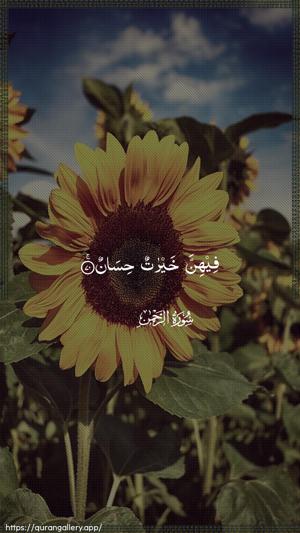 Ar-Rahmaan Ayah 70 - Arabic wallpaper