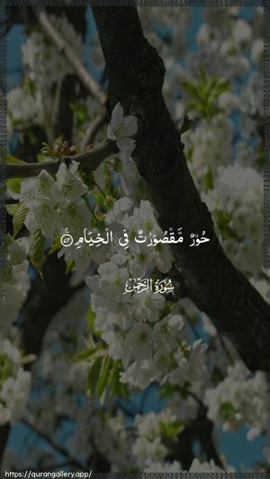 Ar-Rahmaan Ayah 72 - Arabic wallpaper