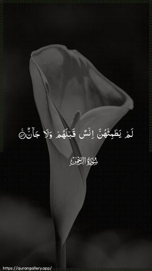 Ar-Rahmaan Ayah 74 - Arabic wallpaper