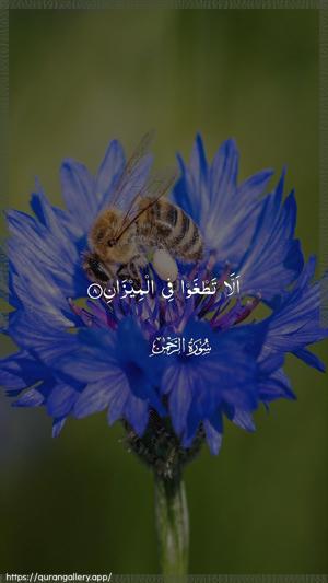 Ar-Rahmaan Ayah 8 - Arabic wallpaper