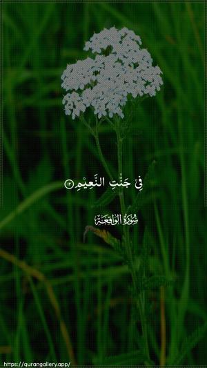 Al-Waaqia Ayah 12 - Arabic wallpaper