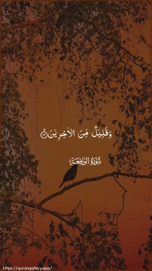 Al-Waaqia Ayah 14 - Arabic wallpaper