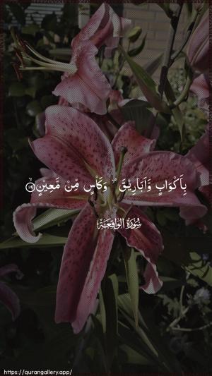 Al-Waaqia Ayah 18 - Arabic wallpaper