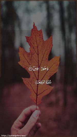 Al-Waaqia Ayah 22 - Arabic wallpaper