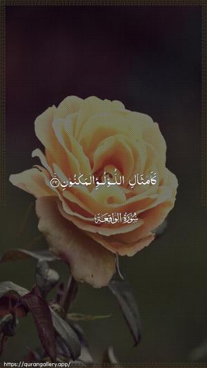 Al-Waaqia Ayah 23 - Arabic wallpaper