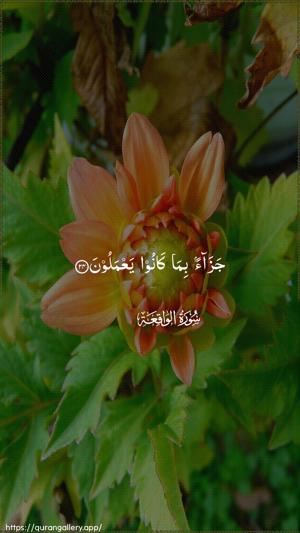 Al-Waaqia Ayah 24 - Arabic wallpaper