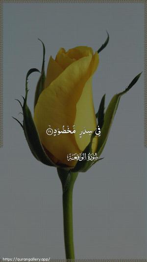 Al-Waaqia Ayah 28 - Arabic wallpaper