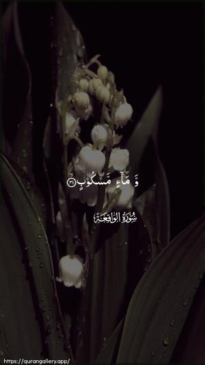 Al-Waaqia Ayah 31 - Arabic wallpaper