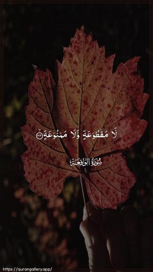 Al-Waaqia Ayah 33 - Arabic wallpaper