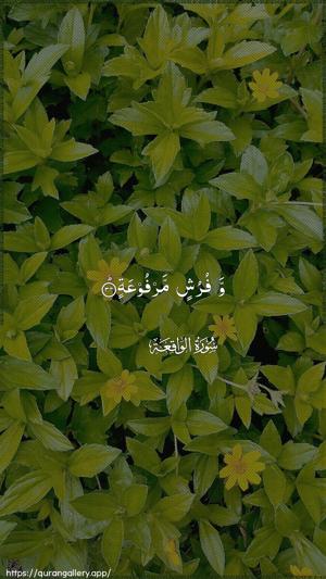 Al-Waaqia Ayah 34 - Arabic wallpaper