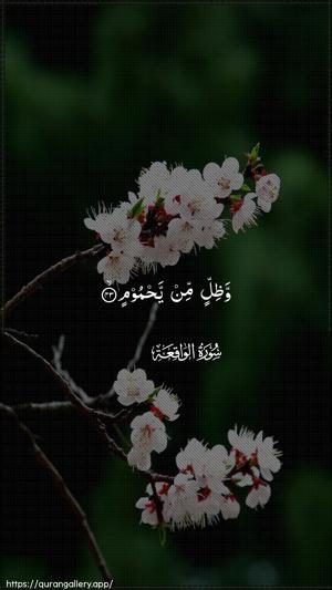 Al-Waaqia Ayah 43 - Arabic wallpaper