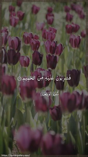 Al-Waaqia Ayah 54 - Arabic wallpaper
