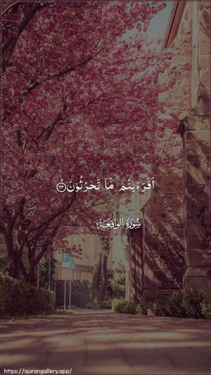 Al-Waaqia Ayah 63 - Arabic wallpaper