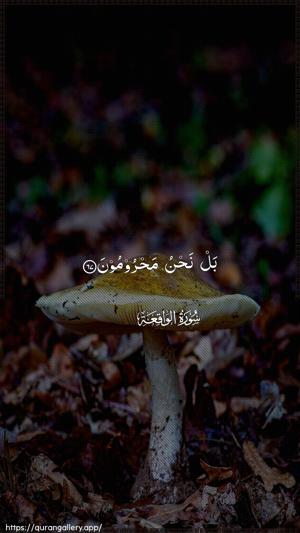 Al-Waaqia Ayah 67 - Arabic wallpaper