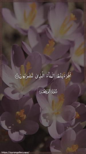 Al-Waaqia Ayah 68 - Arabic wallpaper
