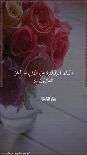 Al-Waaqia Ayah 69 - Arabic wallpaper