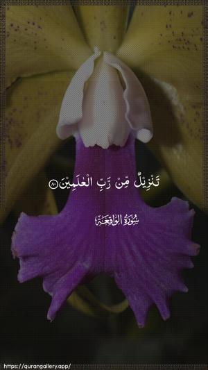 Al-Waaqia Ayah 80 - Arabic wallpaper